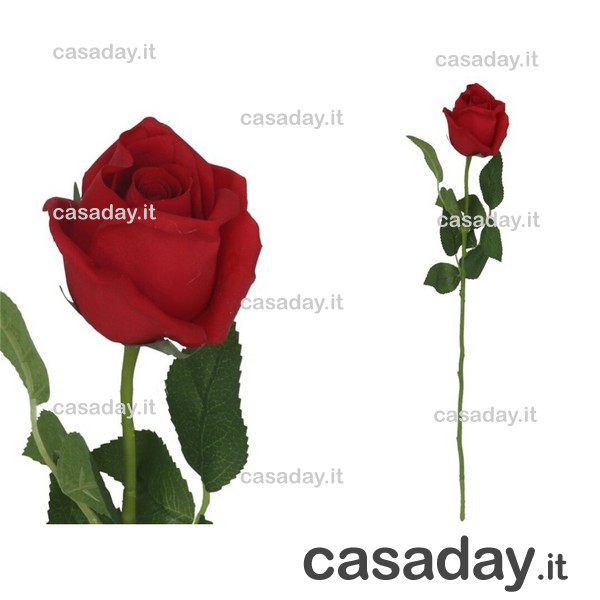 ROSA NATURAL CM.58 